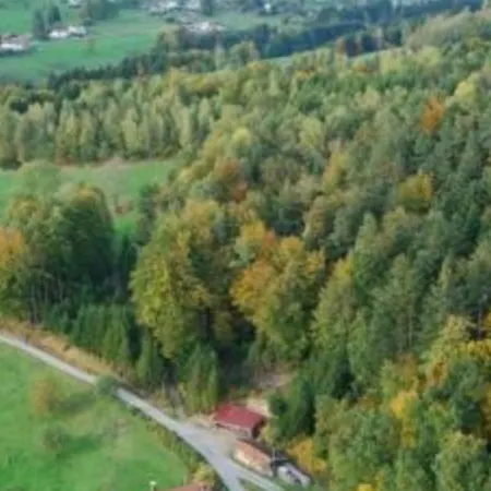 Chaleureux En Pleine Nature Avec Terrasse, Ideal Pour Randonnees Et Vetetistes, Proche De Gerardmer - Fr-1-589-125
