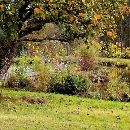 Chaleureux En Pleine Nature Avec Terrasse, Ideal Pour Randonnees Et Vetetistes, Proche De Gerardmer - Fr-1-589-125