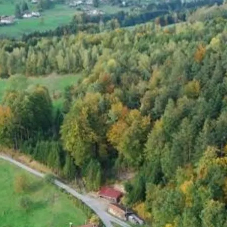 Chaleureux En Pleine Nature Avec Terrasse, Ideal Pour Randonnees Et Vetetistes, Proche De Gerardmer - Fr-1-589-125 Apartment Le Syndicat