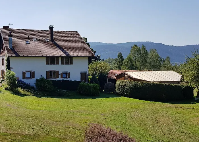 Chaleureux En Pleine Nature Avec Terrasse, Ideal Pour Randonnees Et Vetetistes, Proche De Gerardmer - Fr-1-589-125 * Le Syndicat